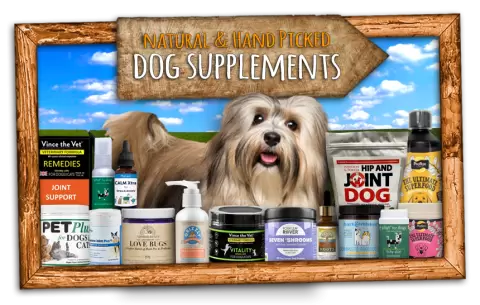 Buy Natural Remedies for Dogs Online