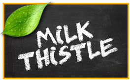 Milk Thistle pet products