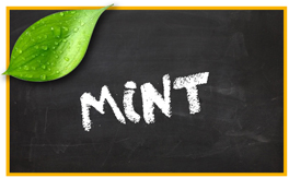 Mint / Peppermint /Pennyroyal pet products