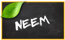 Neem pet products