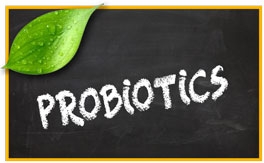 Probiotics pet products