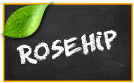 Rose Hip pet products