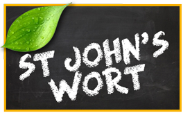 St John's Wort pet products