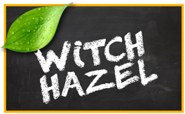 Witch Hazel pet products