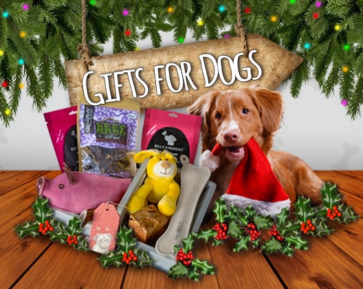 Gifts for Dogs pet products