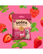 Soopa Healthy Bites Strawberry Dog-Quiri - Main