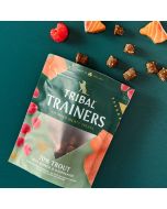 Tribal Trainers Trout & Raspberry Dog Treats 80g 