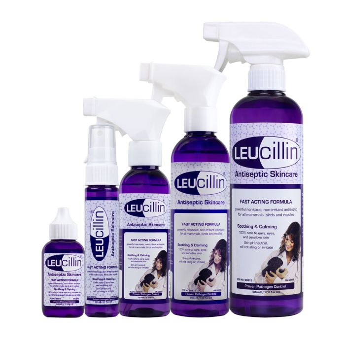 Antiseptic spray safe for dogs hotsell