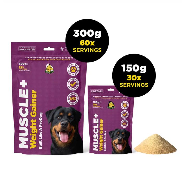 Best dog food for muscle building best sale