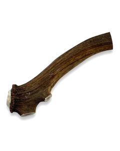 The Innocent Hound Extra Large Tough Antler