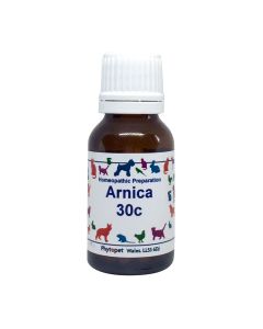 Arnica and dogs best sale