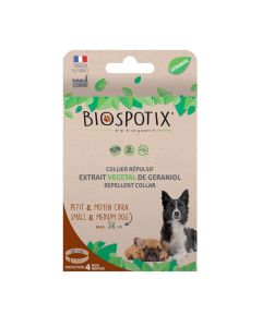 Best natural flea treatment for dogs uk best sale