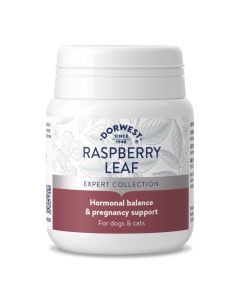 Dorwest Raspberry Leaf 100 Tablets - Main