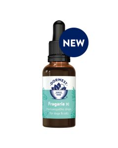 Dorwest Fragaria 3c 15ml