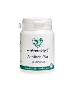 armillaria plus 60 capsules