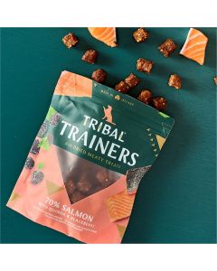 Tribal Trainers Dog Treats Salmon & Blackberry 80g