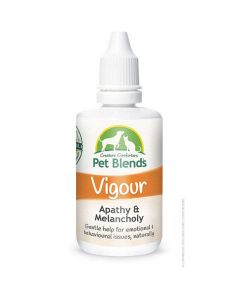 Creature Comforts Pet Blends - Vigour