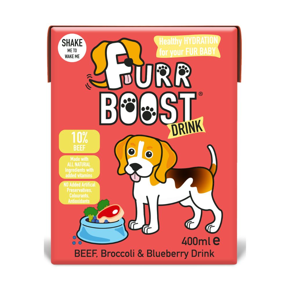 Dog vitamins to boost 2024 appetite