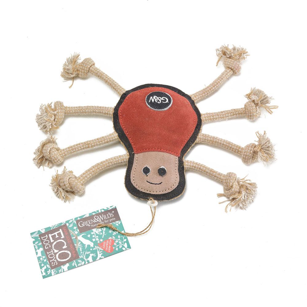 Green Wilds Spike the Spider Eco Dog Toy