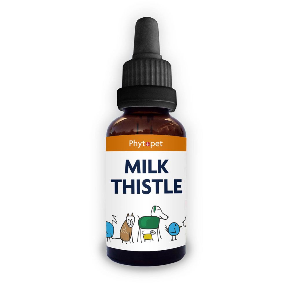 Pets at shop home milk thistle