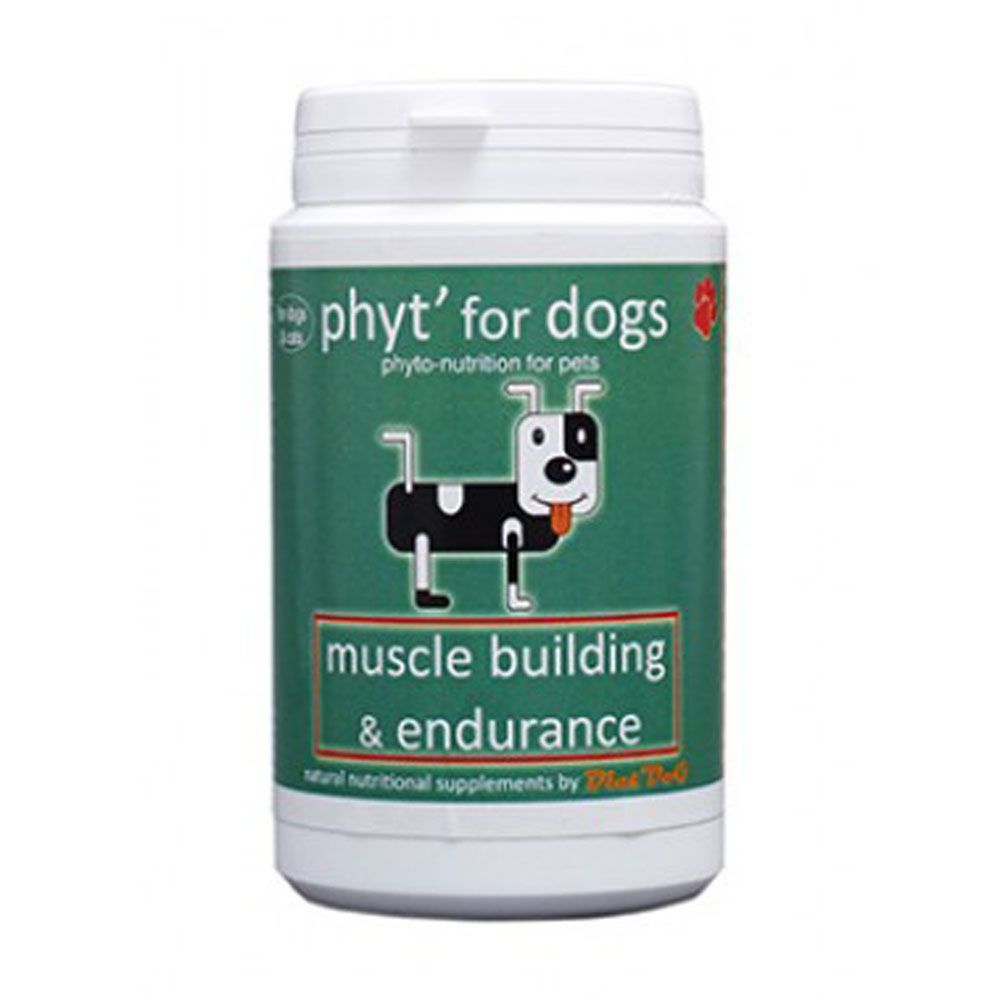 Diet Dog Muscle Building Endurance for Dogs