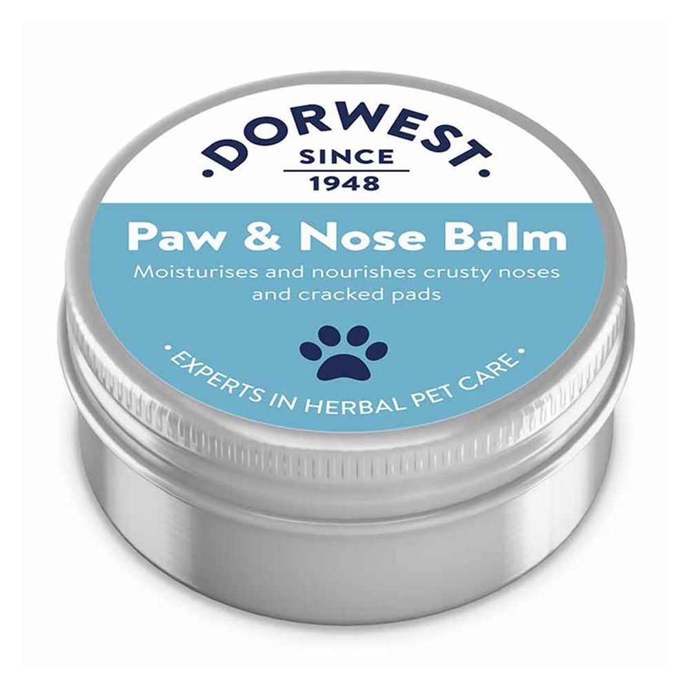 Paw and nose balm for outlet dogs