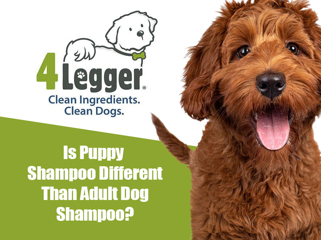 4-legger-is-puppy-shampoo-different-to-adult-dog-shampoo