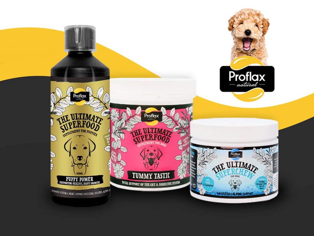 Proflax Puppy Supplements