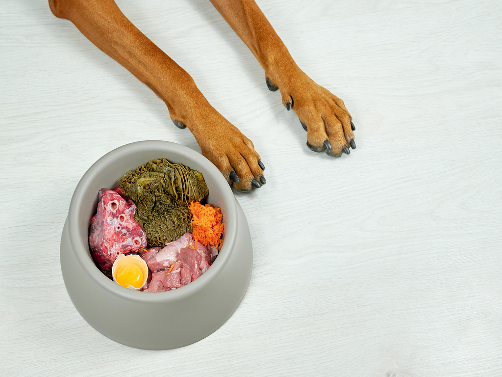 Chemicals and Food Additives – an unhealthy addition to your pet’s food