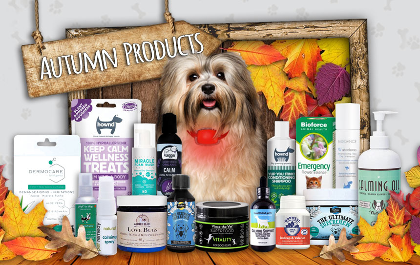 Dog Supplies: Food, Treats, Flea & Tick, Crates & More