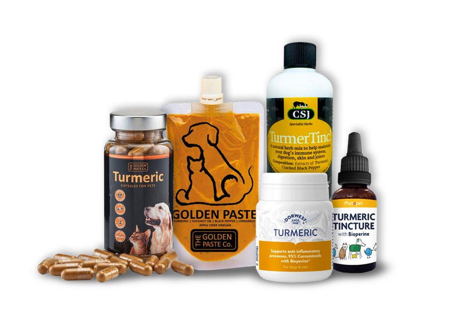 Turmeric Supplements for Dogs