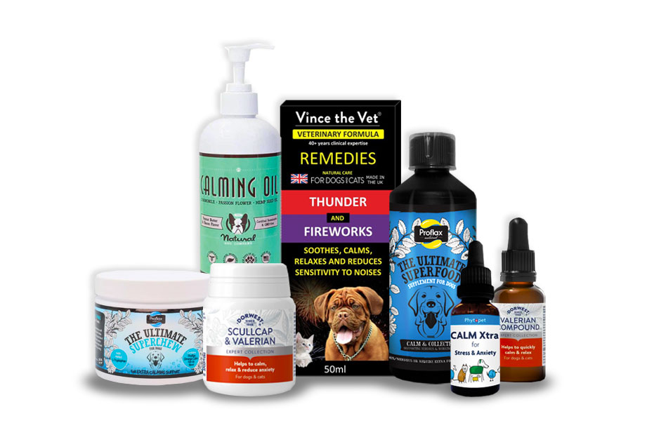 Calming Supplements for Dogs