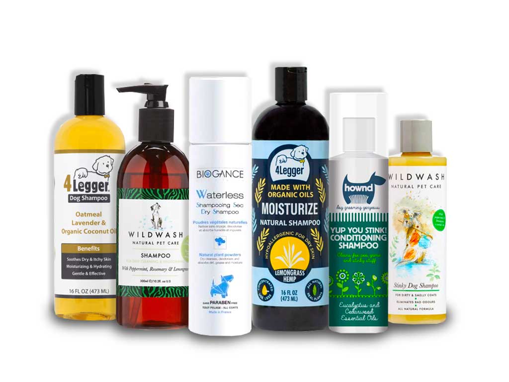 Natural Shampoos for Dogs