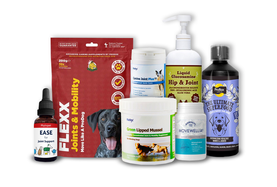 Joint Supplements for Dogs