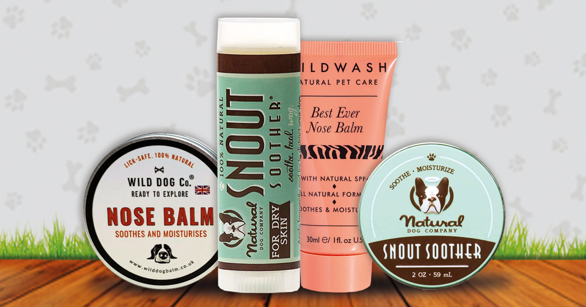 nose balms for dogs