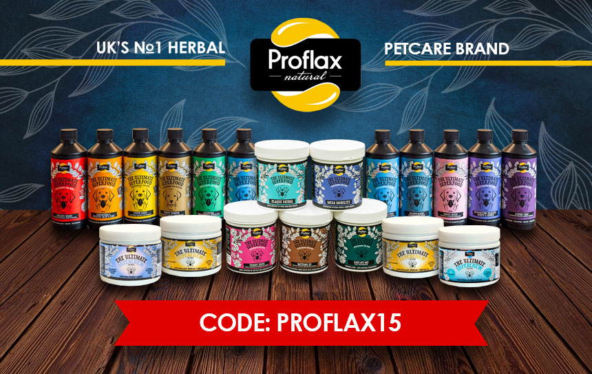 Proflax promotional banner