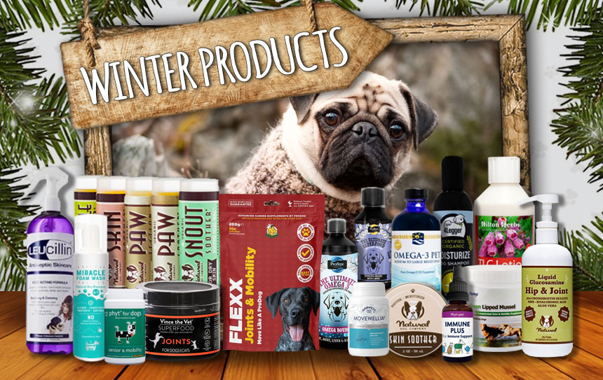 Healthful Pets WInter