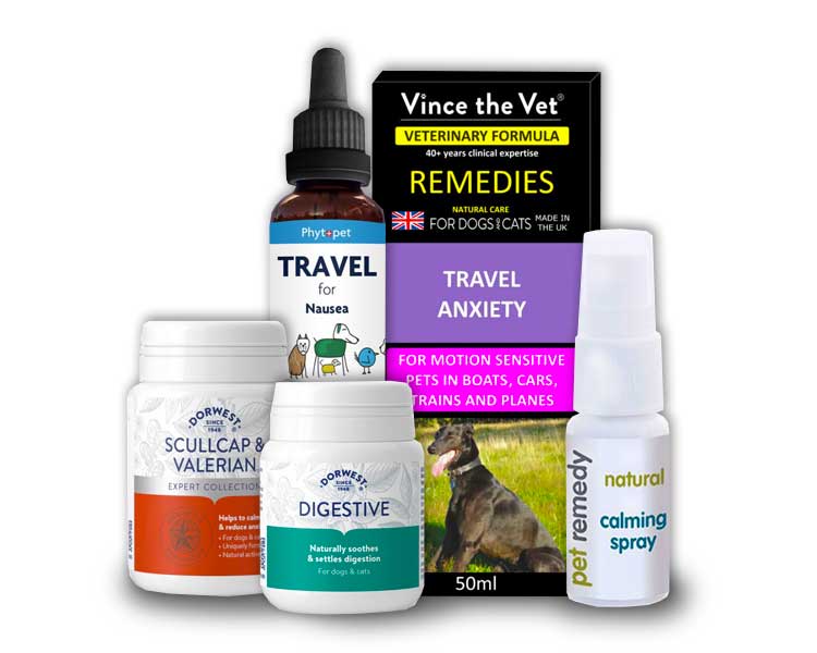 Travel Anxiety Natural Products for Pets